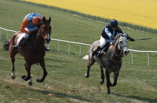 460165696_968b25a9bf