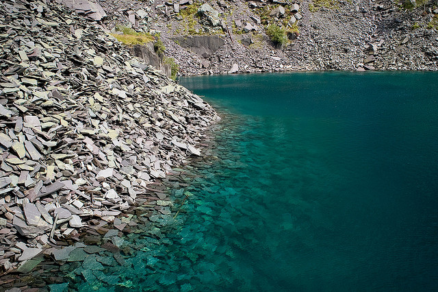 Trust the Science on Water